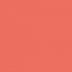 Cordon sudură  CORAL