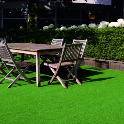 Gazon sintetic decorativ Edge Gazon sintetic decorativ Edge