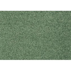 Mocheta Lounge SmartStrand Forever Clean 611 Ivy Mocheta Lounge SmartStrand Forever Clean 611 Ivy