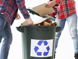 Colectarea selectivă în companii