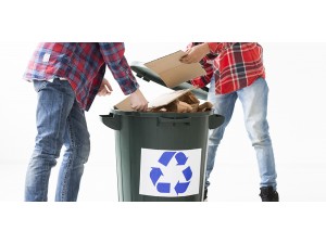 Colectarea selectivă în companii