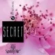 Rezerva odorizant prin nano-atomizare, Secret - Spring Air, 500ml